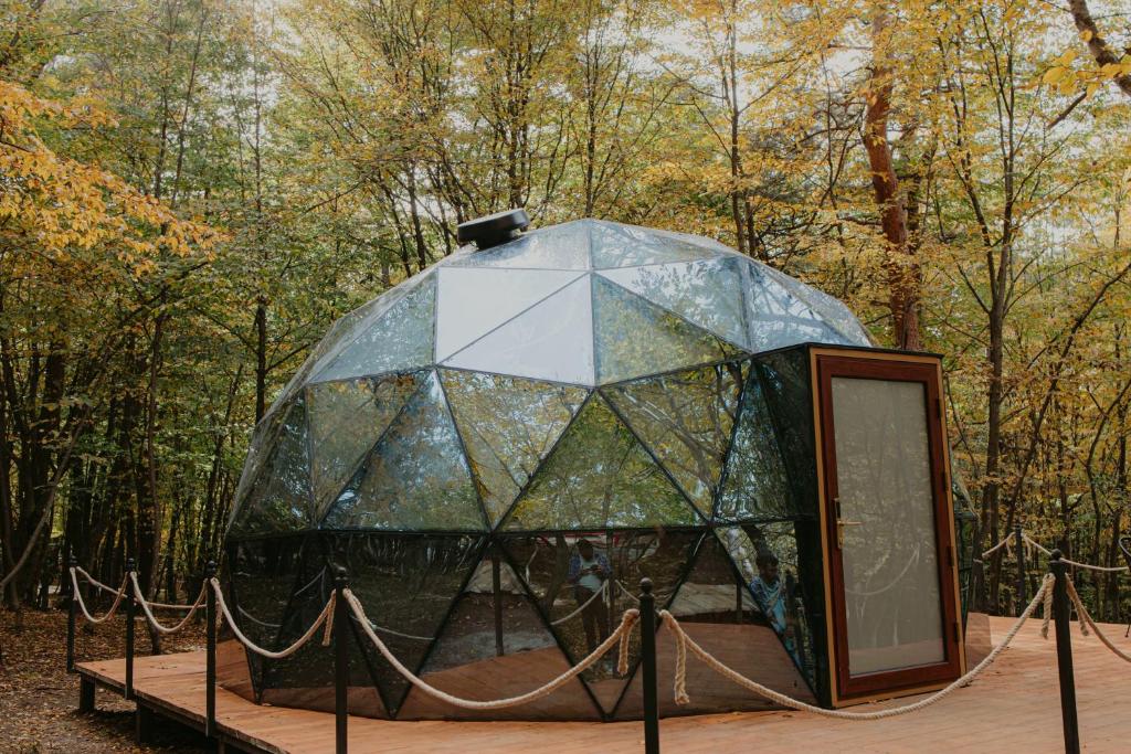 «Dream Park» Hotel & Restaurant-ի հիմնադրում Դենդրոպարկի հարևաանությամբ